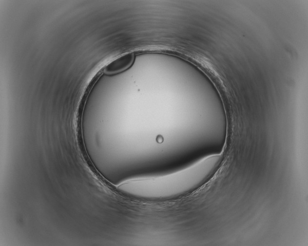 X0000115111181200911101559