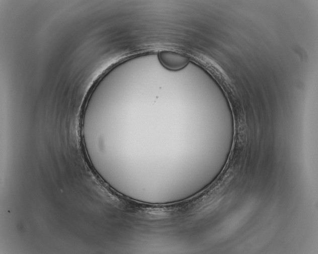 X0000115111182200911101559