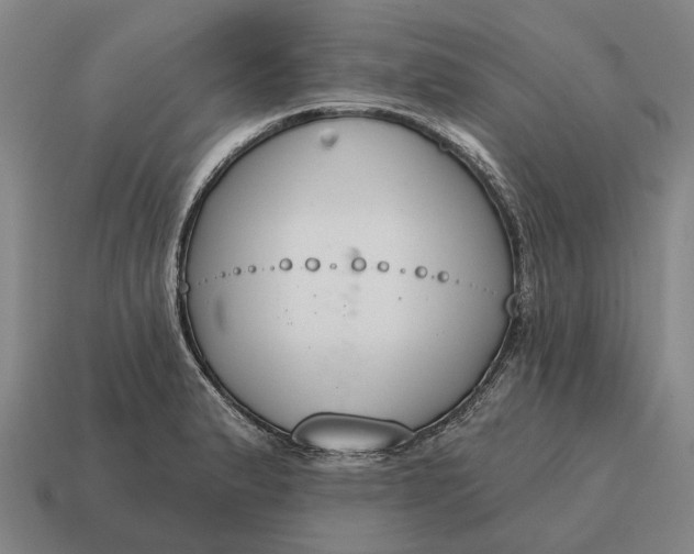 X0000115111183200911101559