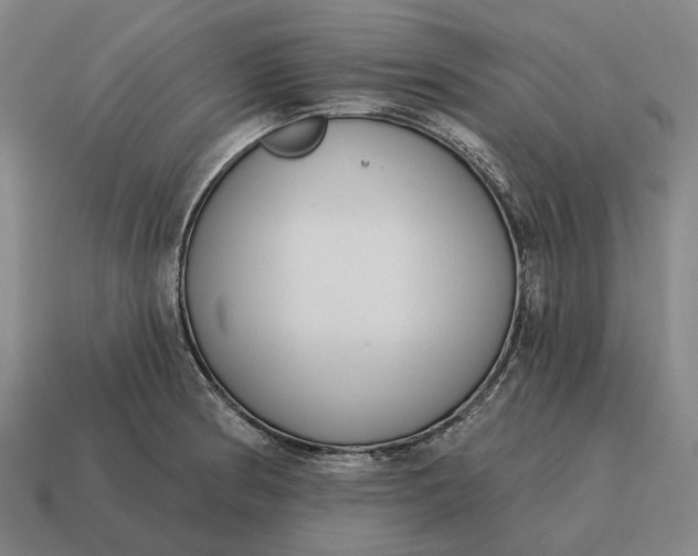 X0000115111186200911101559