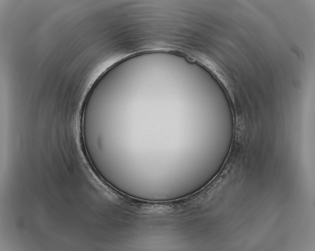 X0000115111187200911101559