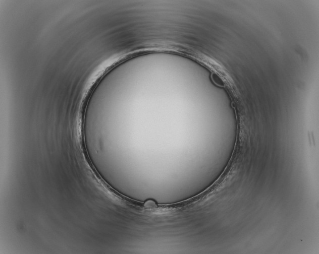 X0000115111188200911101559