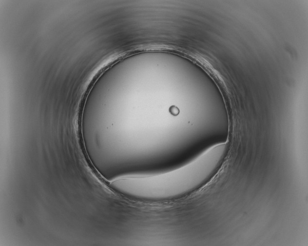 X0000115111189200911101559