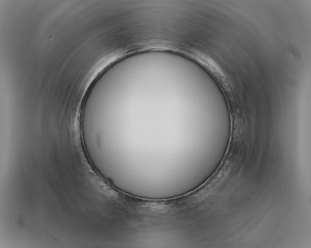 X0000115111190200911101559