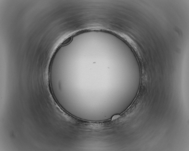 X0000115111191200911101559