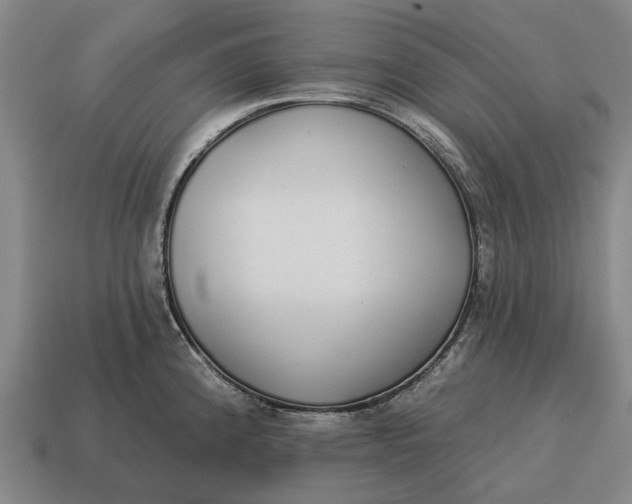 X0000115111192200911101559