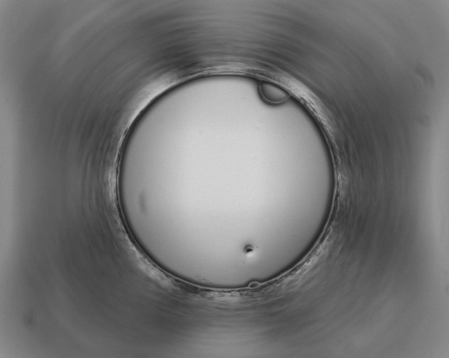 X0000115111194200911101559