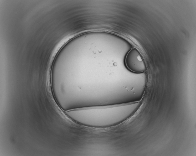 X0000115111196200911101559