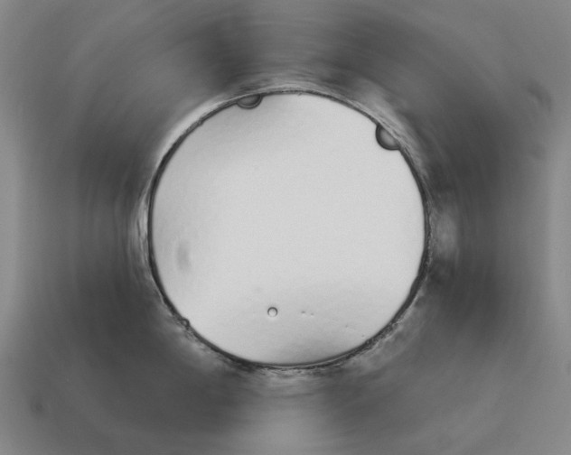 X0000115111198200911101559