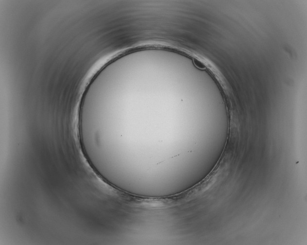 X0000115111199200911101559
