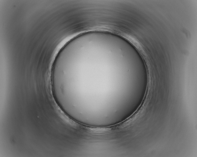 X0000115111200200911101559