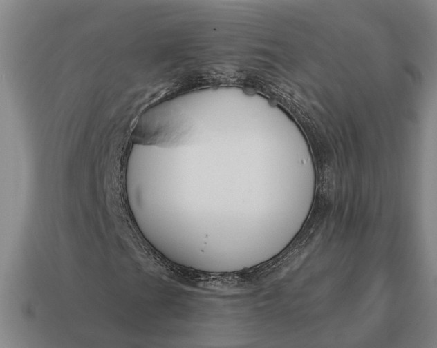 X0000115111201200911101558