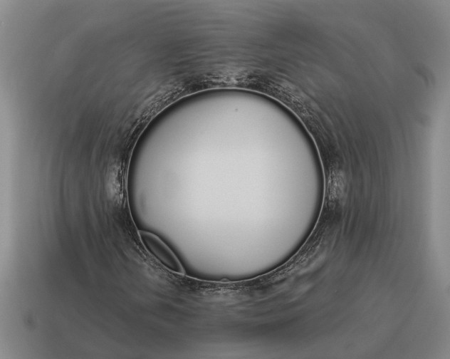 X0000115111202200911101558