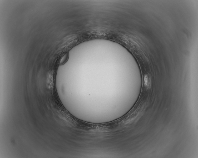 X0000115111203200911101558