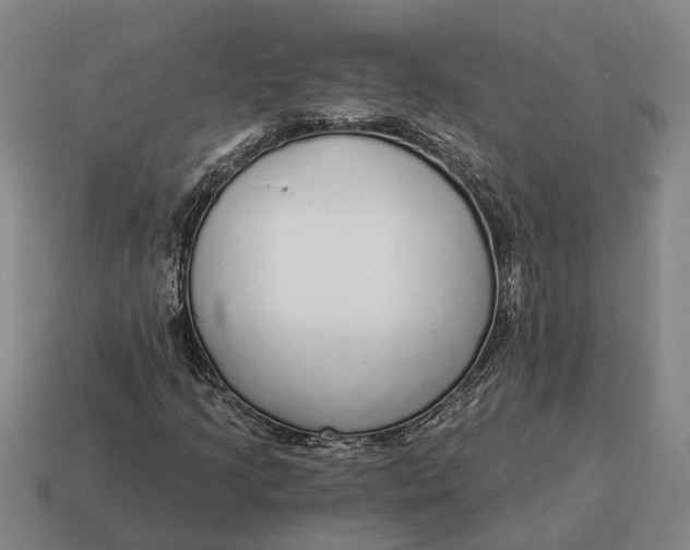 X0000115111205200911101558