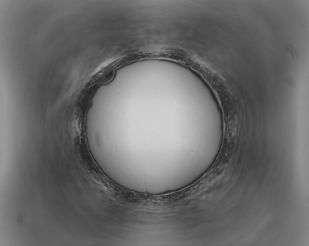 X0000115111206200911101558