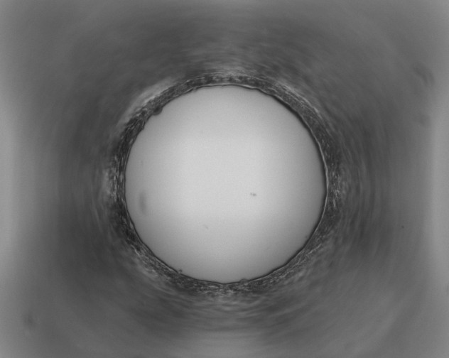X0000115111207200911101558