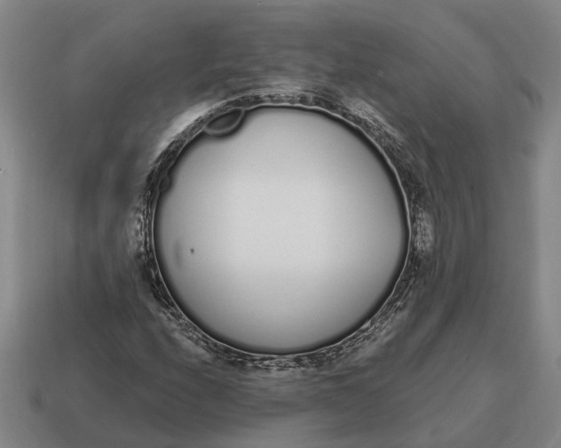 X0000115111208200911101558