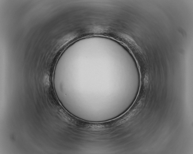 X0000115111209200911101558
