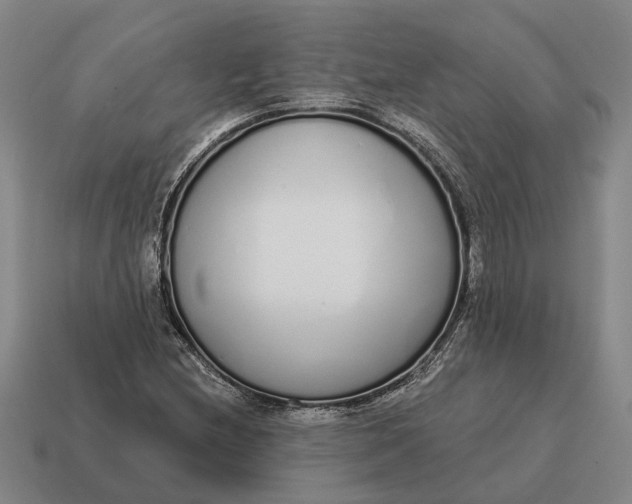 X0000115111212200911101558