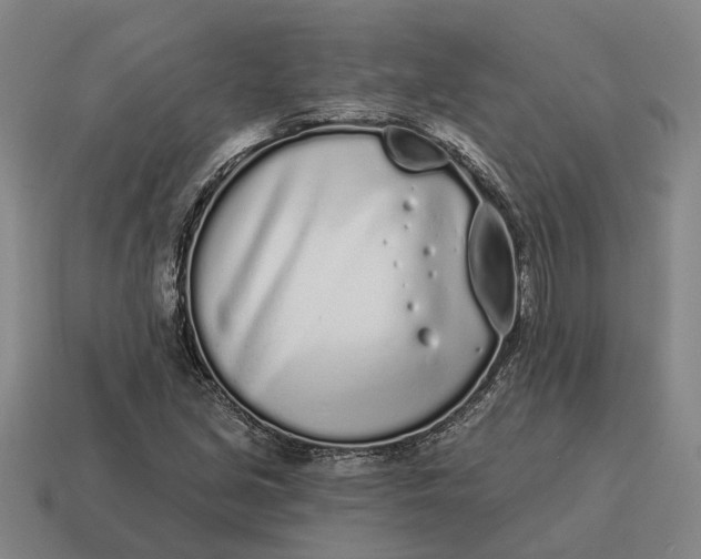 X0000115111213200911101558