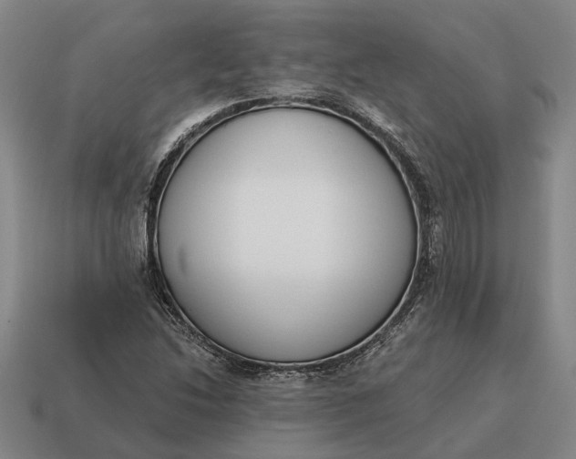 X0000115111214200911101558