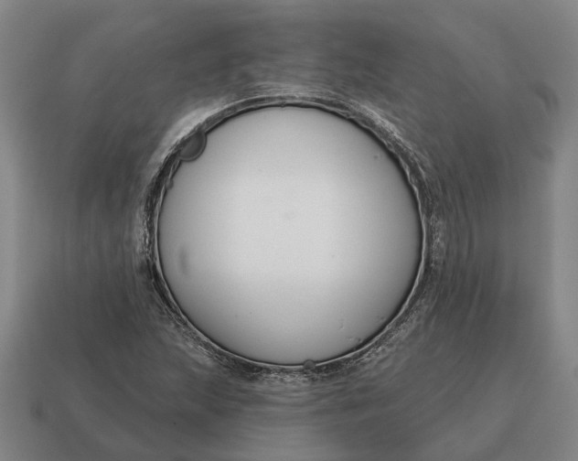 X0000115111215200911101558