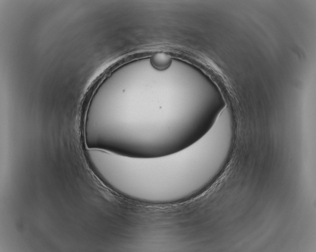 X0000115111216200911101558