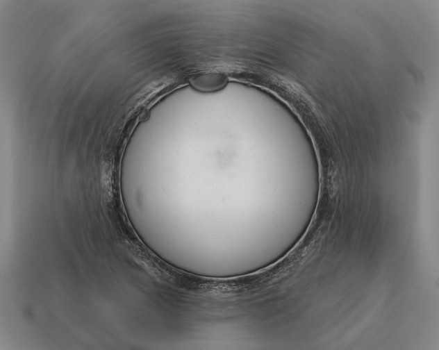 X0000115111217200911101558
