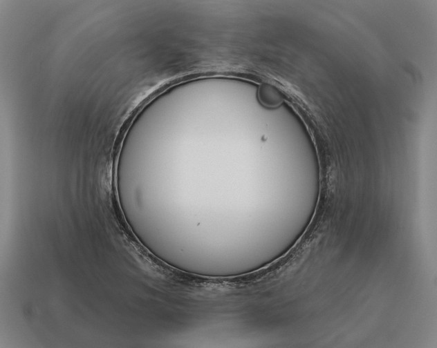 X0000115111220200911101558