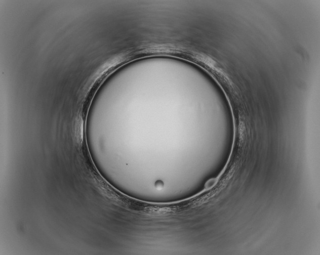 X0000115111221200911101558
