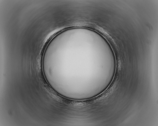 X0000115111222200911101558