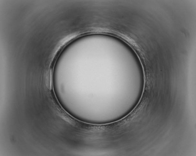 X0000115111223200911101558