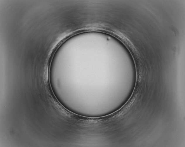 X0000115111224200911101558