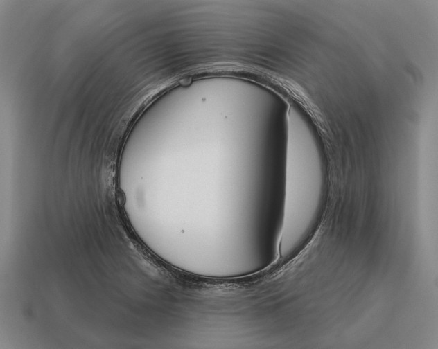 X0000115111225200911101558
