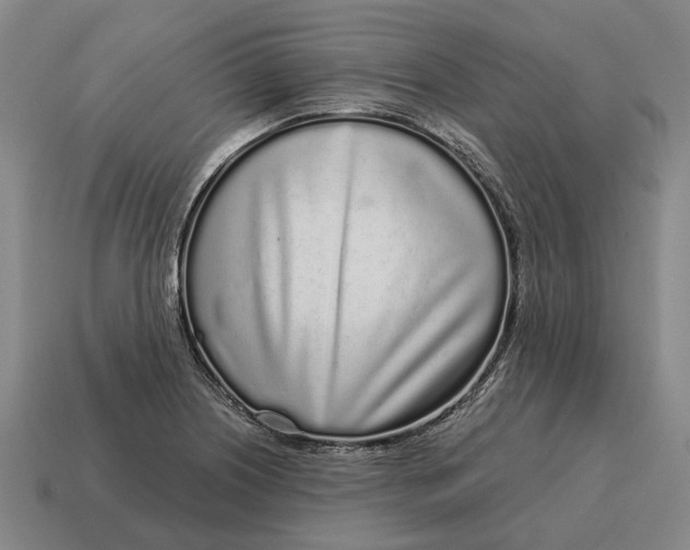 X0000115111226200911101558