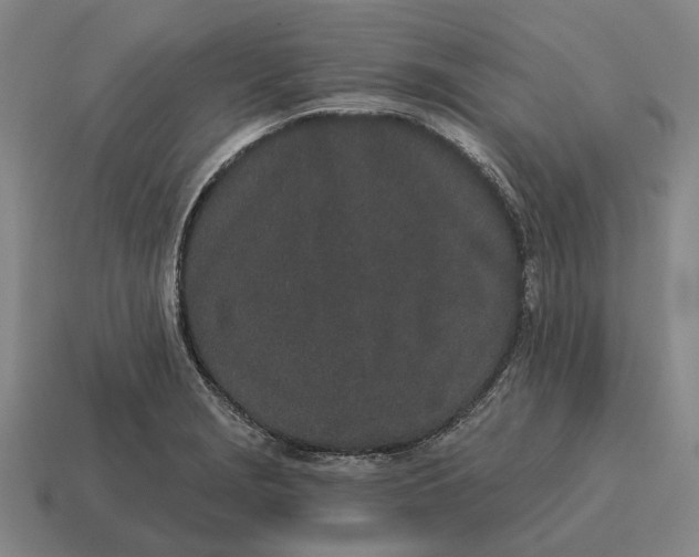 X0000115111229200911101558