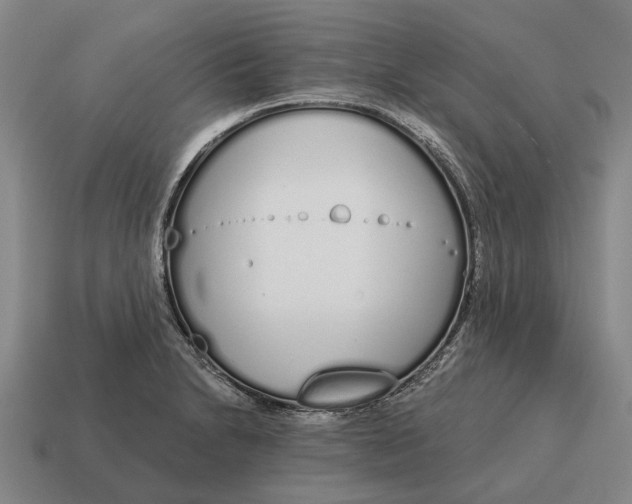 X0000115111230200911101558