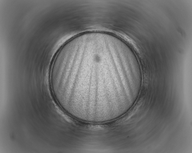 X0000115111231200911101558