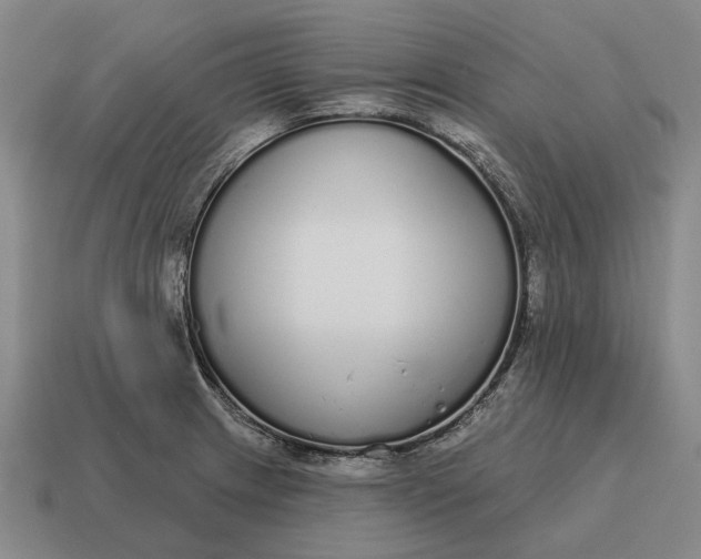 X0000115111233200911101558
