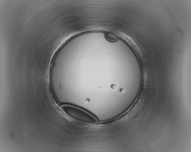 X0000115111236200911101558