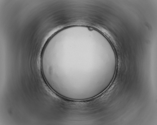 X0000115111238200911101558
