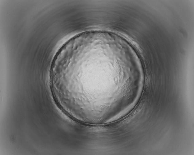 X0000115111239200911101558