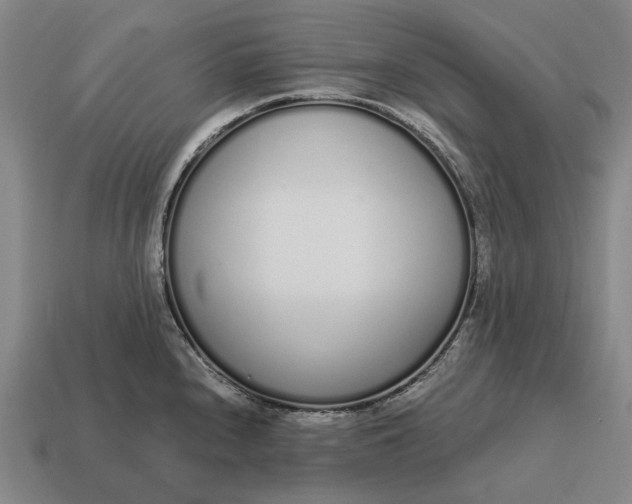 X0000115111240200911101558