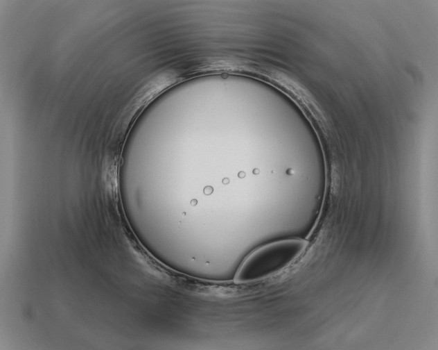 X0000115111241200911101558