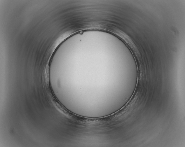 X0000115111242200911101558