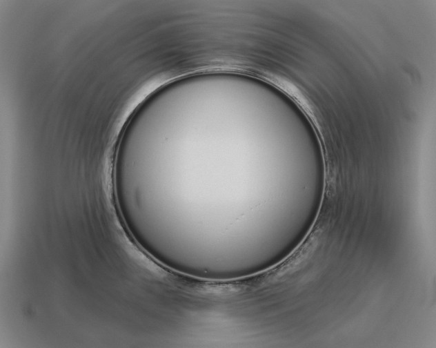 X0000115111243200911101558