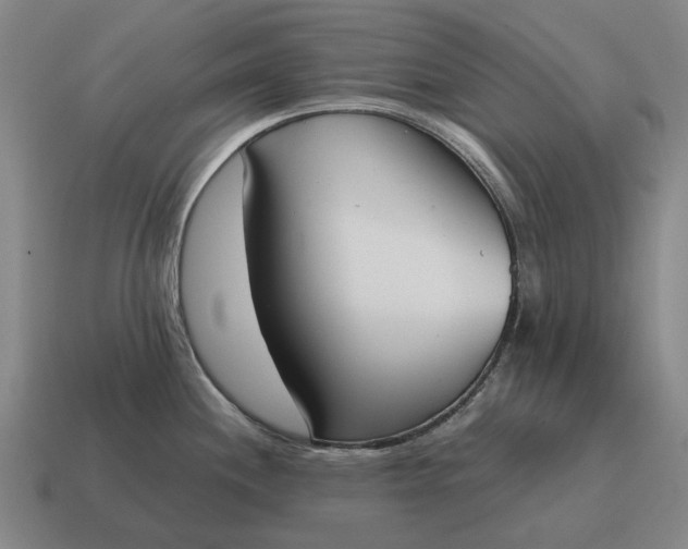 X0000115111244200911101558