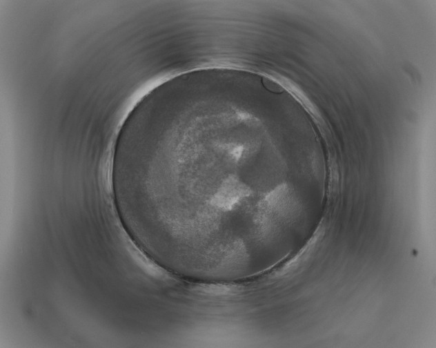 X0000115111246200911101558