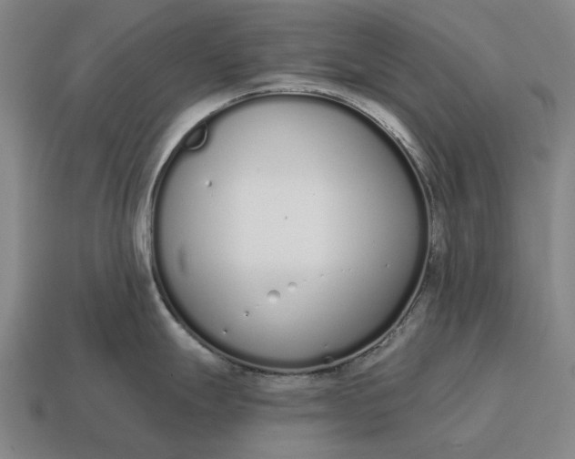 X0000115111247200911101559